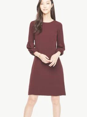Ann Taylor Lantern Sleeve Shift Dress Size 8 NWT